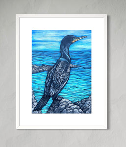 Cormorant