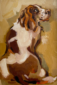 Spaniel II