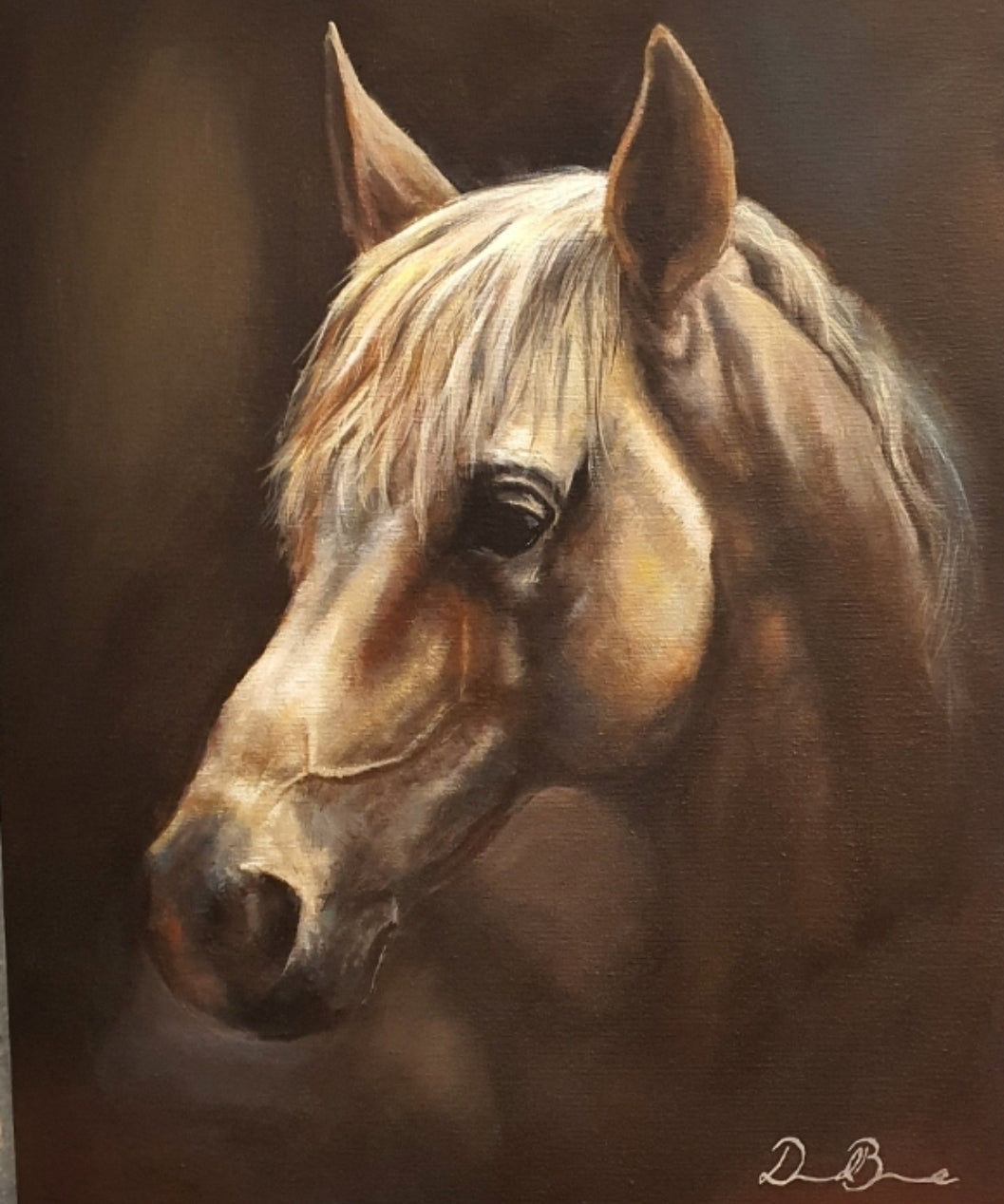 A Horse Study