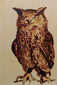 Eagle Owl - Helen Butler